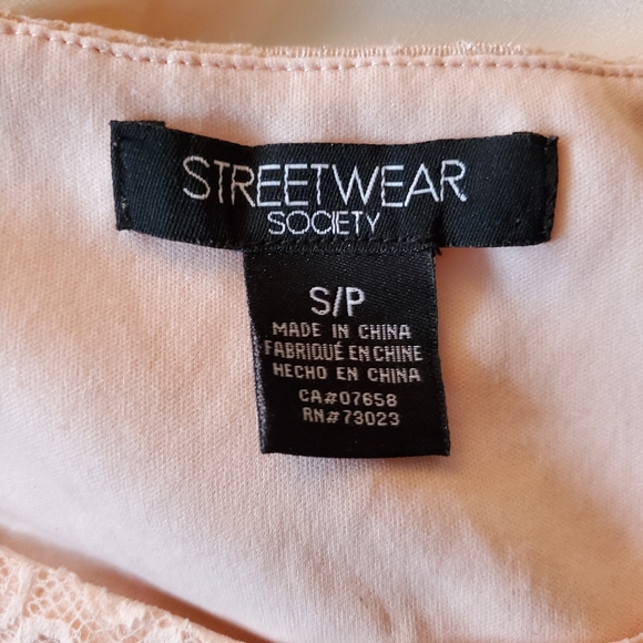 Streetwear Society Blush Lace Dress Sz. SM - Picture 4 of 5